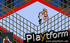 Fire Pro Wrestling 2 (Game Boy Advance)