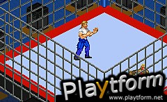 Fire Pro Wrestling 2 (Game Boy Advance)