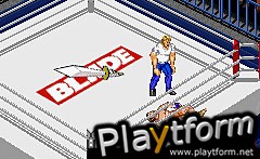 Fire Pro Wrestling 2 (Game Boy Advance)