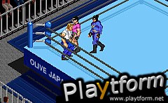 Fire Pro Wrestling 2 (Game Boy Advance)