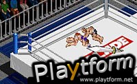 Fire Pro Wrestling 2 (Game Boy Advance)