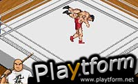 Fire Pro Wrestling 2 (Game Boy Advance)