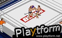 Fire Pro Wrestling 2 (Game Boy Advance)