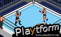 Fire Pro Wrestling 2 (Game Boy Advance)