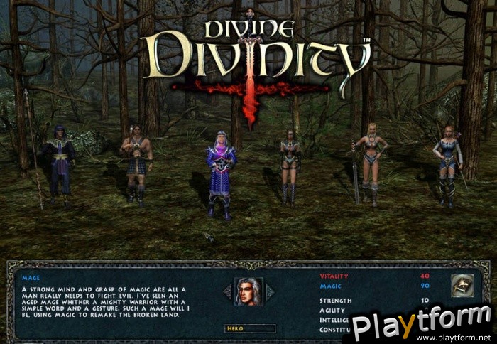 Divine Divinity (PC)