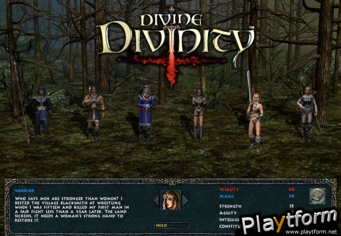 Divine Divinity (PC)