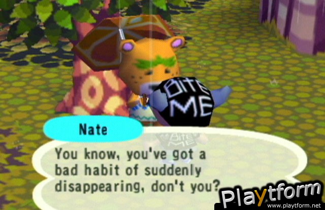 Animal Crossing (GameCube)