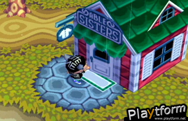 Animal Crossing (GameCube)