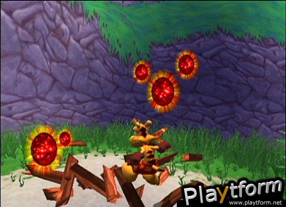 Ty the Tasmanian Tiger (GameCube)