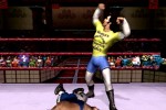 Legends of Wrestling II (PlayStation 2)