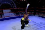 Legends of Wrestling II (PlayStation 2)