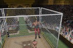 Legends of Wrestling II (PlayStation 2)