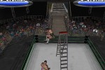 Legends of Wrestling II (PlayStation 2)