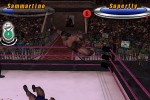 Legends of Wrestling II (GameCube)