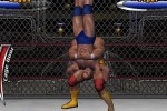 Legends of Wrestling II (GameCube)