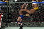 Legends of Wrestling II (GameCube)