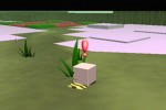 Cubivore: Survival of the Fittest (GameCube)