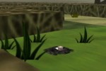 Cubivore: Survival of the Fittest (GameCube)