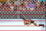 WWE Road to WrestleMania X8 (Game Boy Advance)