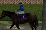 Jockey's Road (Xbox)