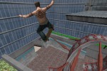 Evolution Skateboarding (PlayStation 2)