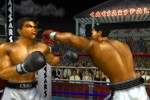 Knockout Kings 2003 (GameCube)