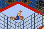 Fire Pro Wrestling 2 (Game Boy Advance)