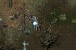 Divine Divinity (PC)