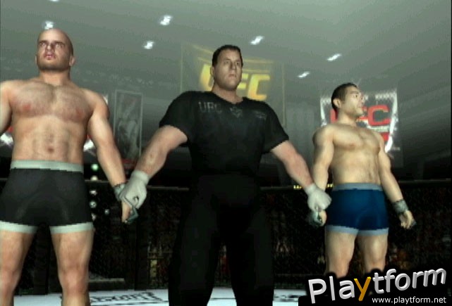 Ultimate Fighting Championship: Throwdown (GameCube)