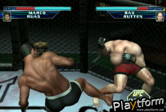 Ultimate Fighting Championship: Throwdown (GameCube)