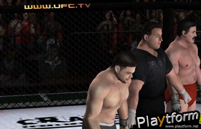 Ultimate Fighting Championship: Throwdown (GameCube)