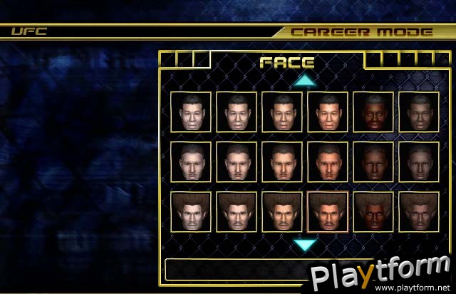 Ultimate Fighting Championship: Throwdown (GameCube)