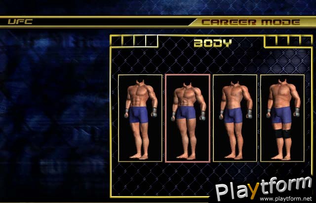 Ultimate Fighting Championship: Throwdown (GameCube)