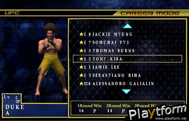 Ultimate Fighting Championship: Throwdown (GameCube)