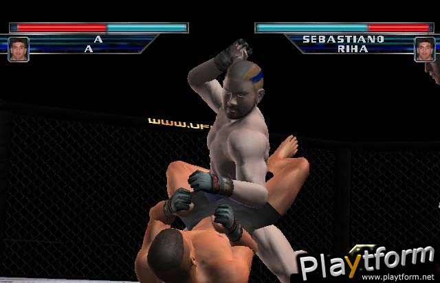 Ultimate Fighting Championship: Throwdown (GameCube)