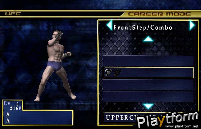 Ultimate Fighting Championship: Throwdown (GameCube)