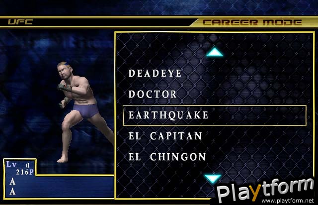 Ultimate Fighting Championship: Throwdown (GameCube)