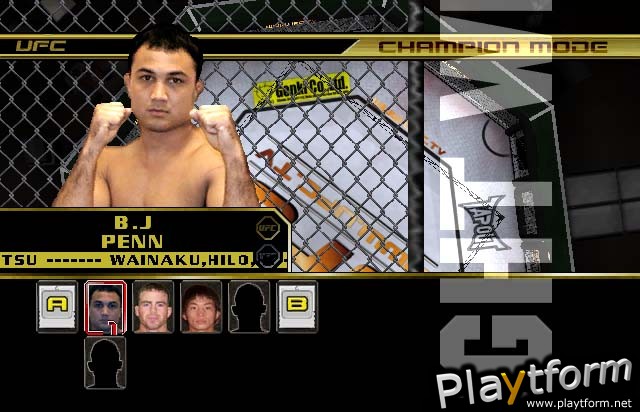 Ultimate Fighting Championship: Throwdown (GameCube)