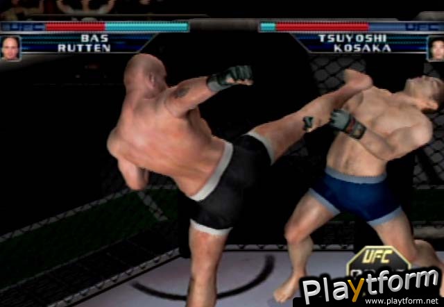 Ultimate Fighting Championship: Throwdown (GameCube)