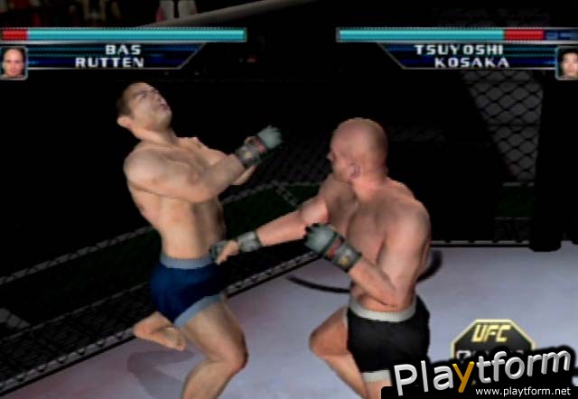 Ultimate Fighting Championship: Throwdown (GameCube)