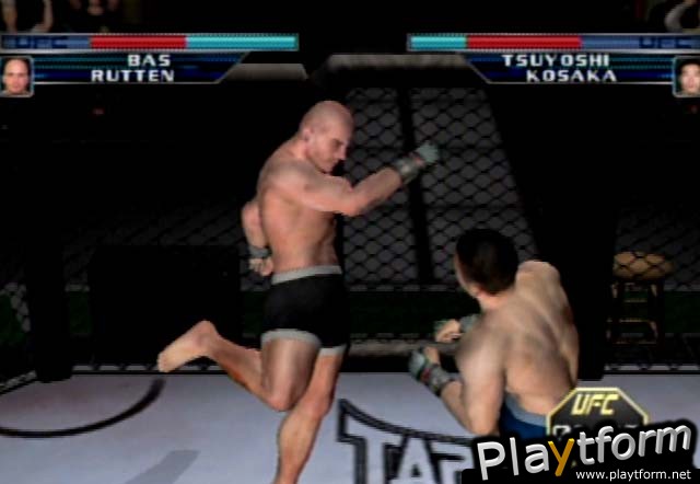 Ultimate Fighting Championship: Throwdown (GameCube)