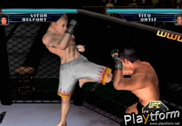 Ultimate Fighting Championship: Throwdown (GameCube)