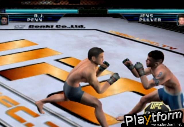 Ultimate Fighting Championship: Throwdown (GameCube)