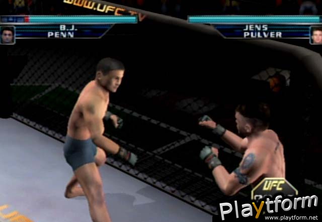 Ultimate Fighting Championship: Throwdown (GameCube)