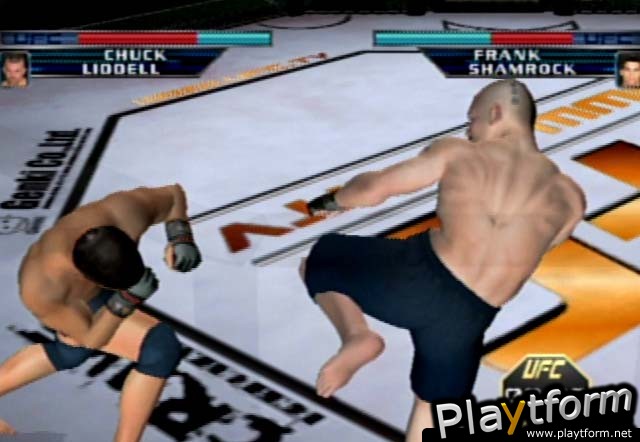 Ultimate Fighting Championship: Throwdown (GameCube)