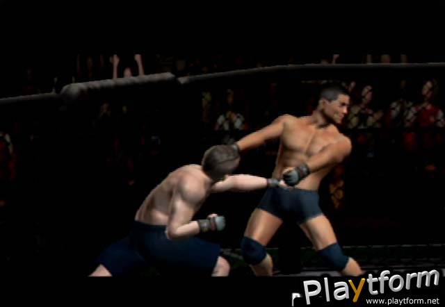 Ultimate Fighting Championship: Throwdown (GameCube)