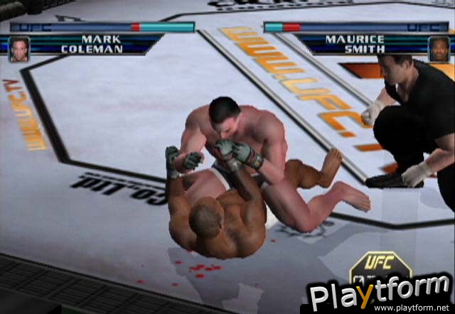 Ultimate Fighting Championship: Throwdown (GameCube)