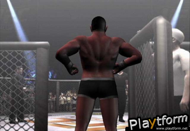 Ultimate Fighting Championship: Throwdown (GameCube)