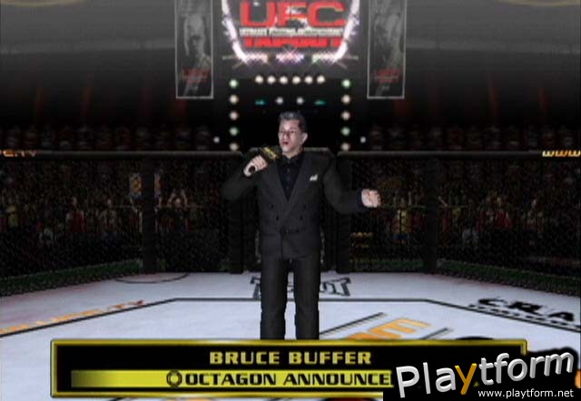 Ultimate Fighting Championship: Throwdown (GameCube)