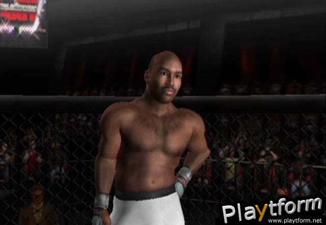 Ultimate Fighting Championship: Throwdown (GameCube)